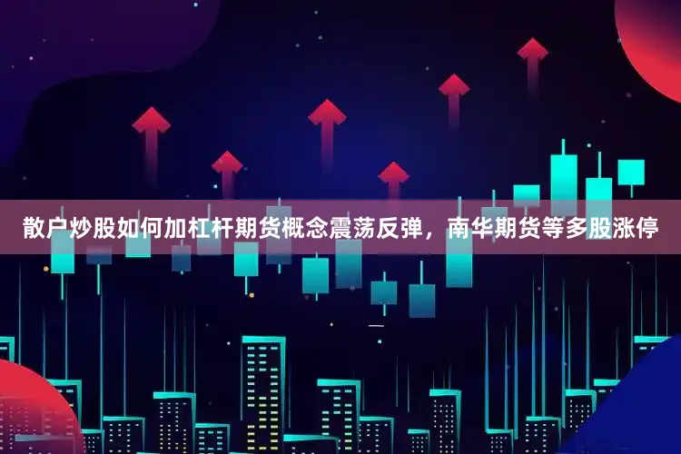散户炒股如何加杠杆期货概念震荡反弹，南华期货等多股涨停