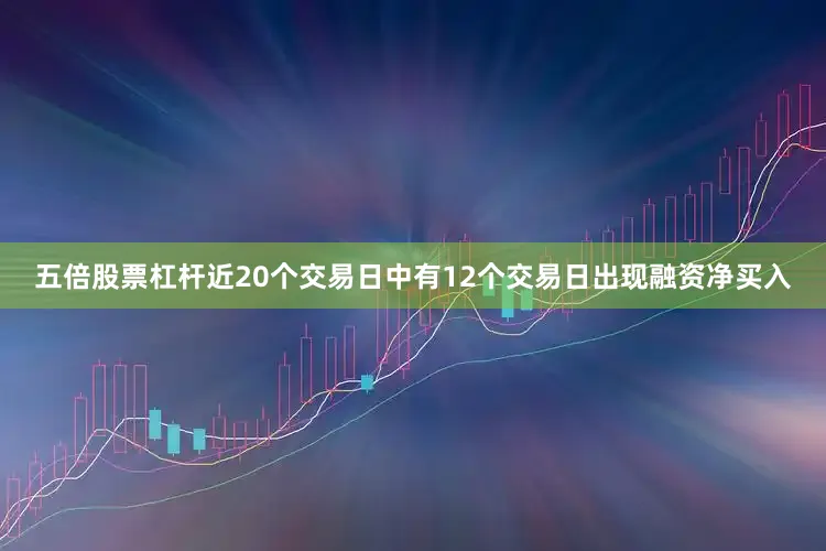五倍股票杠杆近20个交易日中有12个交易日出现融资净买入