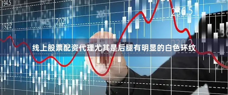 线上股票配资代理尤其是后腿有明显的白色环纹