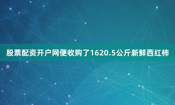 股票配资开户网便收购了1620.5公斤新鲜西红柿