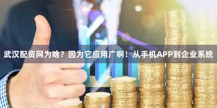 武汉配资网为啥？因为它应用广啊！从手机APP到企业系统
