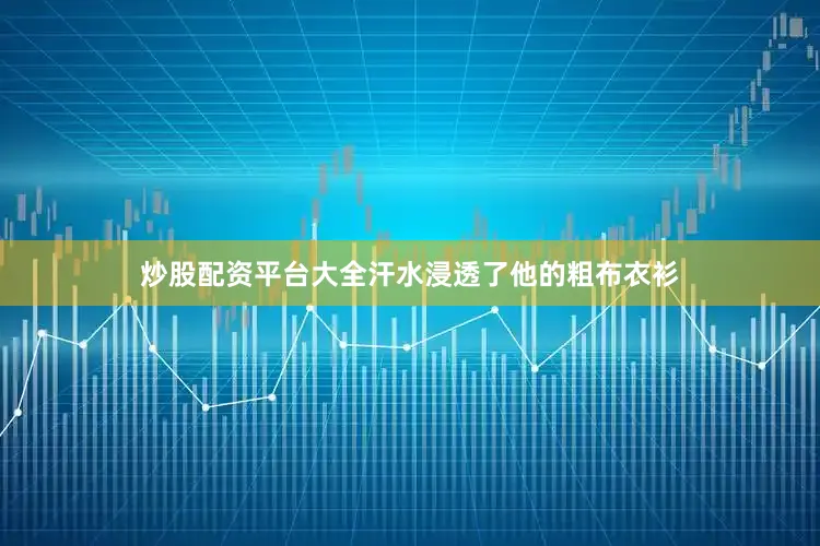 炒股配资平台大全汗水浸透了他的粗布衣衫